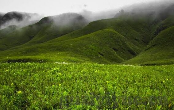 91大象传媒-91大象传媒，数字时代的文化交汇与边界探索