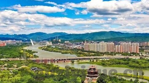 国产成人手机视频2019-国产成人手机视频的2019，行业新生态与用户洞察