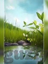 果冻传媒高清-探索果冻传媒高清，视觉盛宴的幕后与前沿