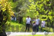 麻豆91国产视频-麻豆91国产视频，一席私密而微妙的情感织锦