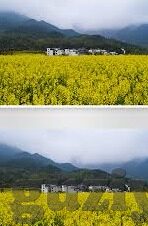 麻豆传媒是啥-揭开麻豆传媒的神秘面纱