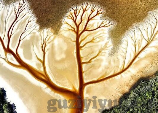 麻豆最新视频播放-麻豆最新视频解析，一见难忘的视觉盛宴