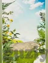 糖心app软件下载苹果-探索苹果设备上糖心App的便捷与乐趣